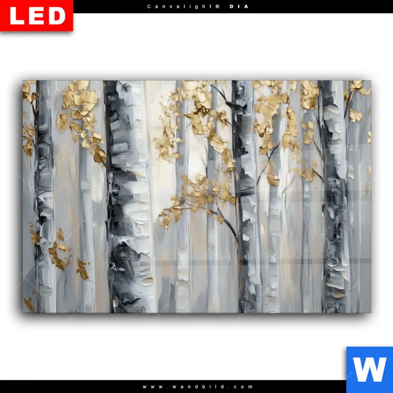 Wechselmotiv Acrylglas Canvalight® DIA | Stille im Wald | Querformat