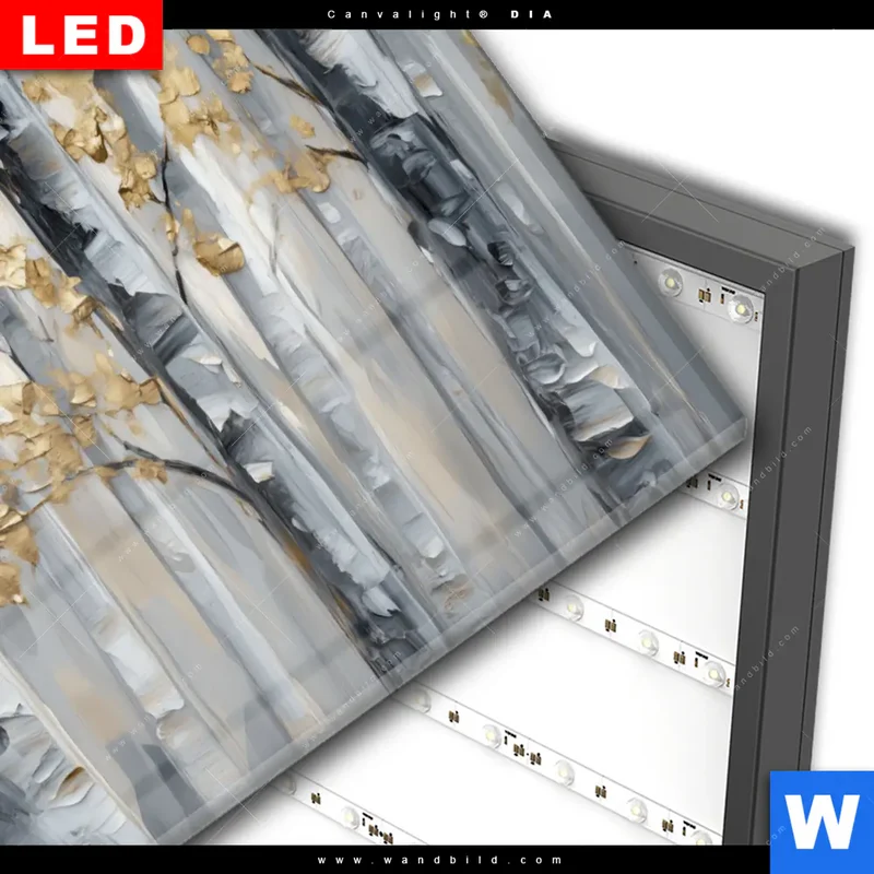 Wechselmotiv Acrylglas Canvalight® DIA | Stille im Wald | Querformat