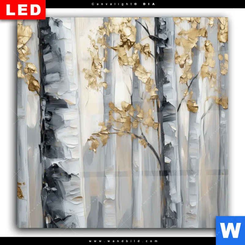 Wechselmotiv Acrylglas Canvalight® DIA | Stille im Wald | Quadrat