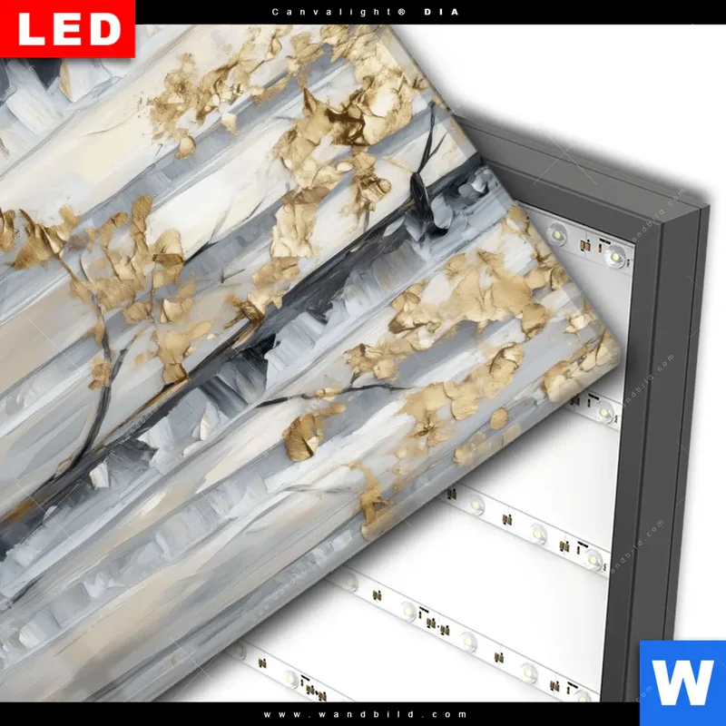 Wechselmotiv Acrylglas Canvalight® DIA | Stille im Wald | Quadrat