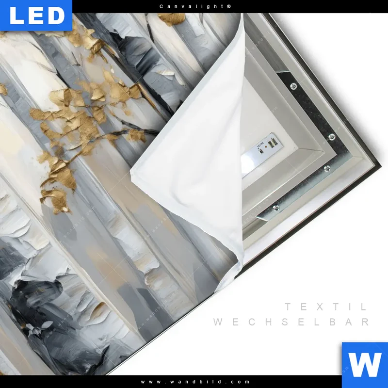 Canvalight® Leuchtbild | Stille im Wald | Quadrat