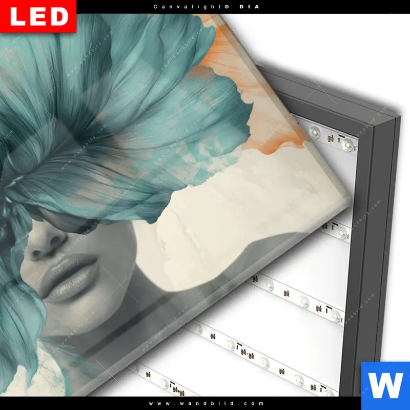 Wechselmotiv Acrylglas Canvalight® DIA | Verhüllte Schönheit | Querformat