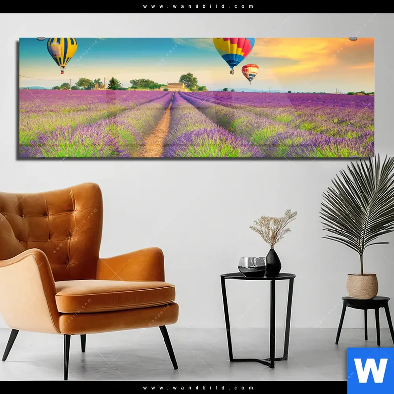 Acrylglasbild | Heißluftballons über violetten Feldern | Panorama