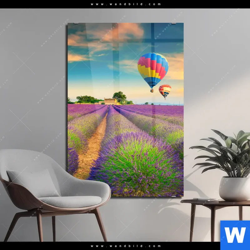 Acrylglasbild | Heißluftballons über violetten Feldern | Hochformat