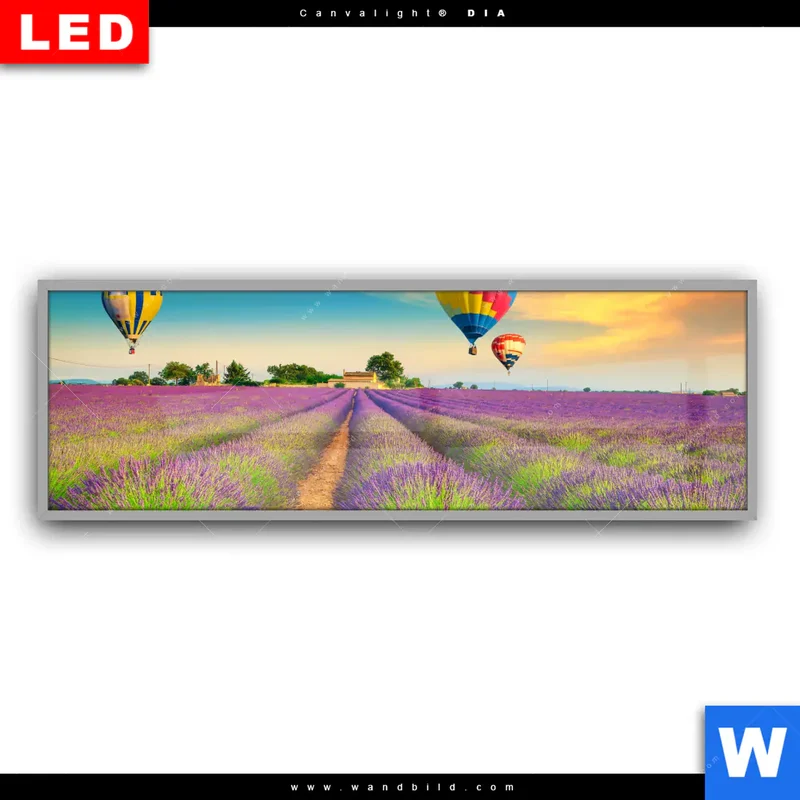 Leuchtbild Acrylglas Canvalight® DIA | Heißluftballons über violetten Feldern | Panorama