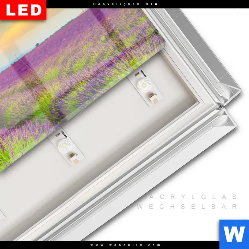 Leuchtbild Acrylglas Canvalight® DIA | Heißluftballons über violetten Feldern | Panorama