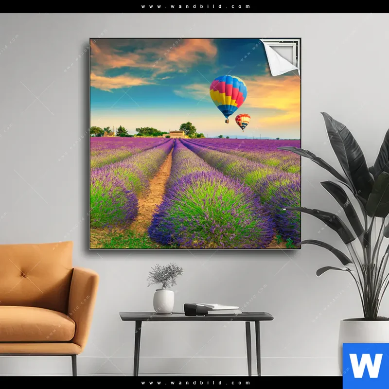 Spannbild | Heißluftballons über violetten Feldern | Quadrat