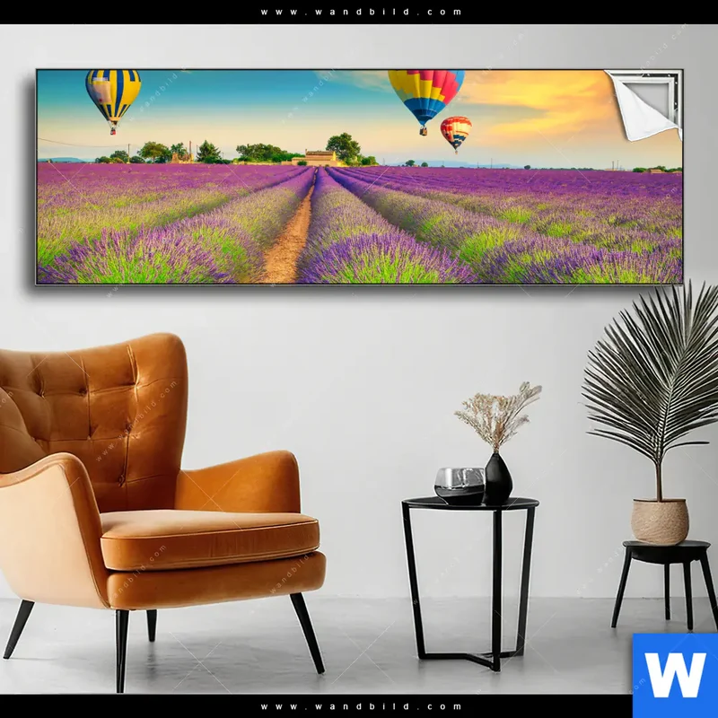 Spannbild | Heißluftballons über violetten Feldern | Panorama