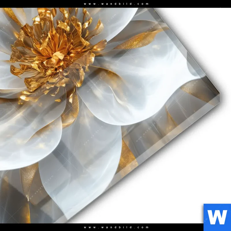 Acrylglasbild | Zarte Luxusblüte | Quadrat