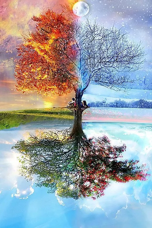 4 Seasons