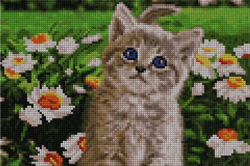 Cute Kitty - Starter Edition