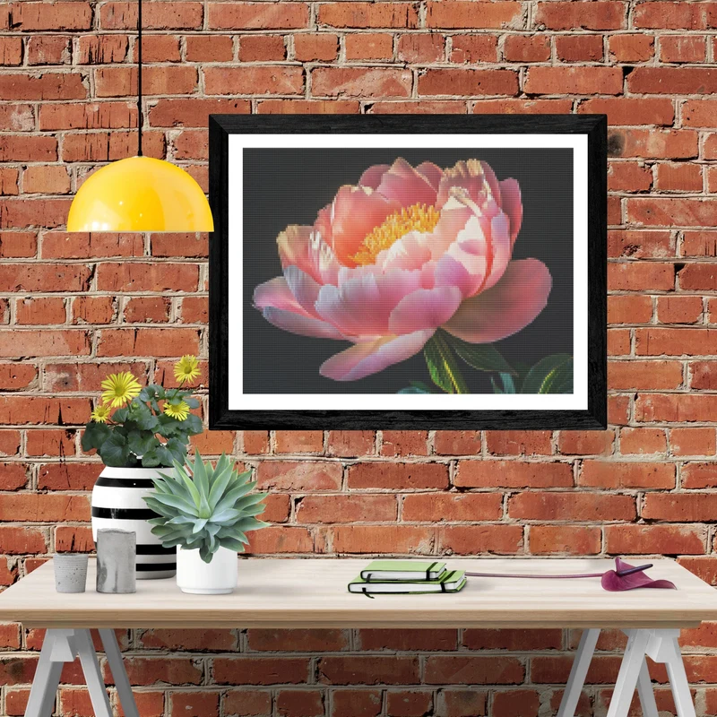 Peony In Golden Light
