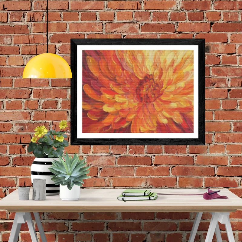 Chrysanthemum Burst