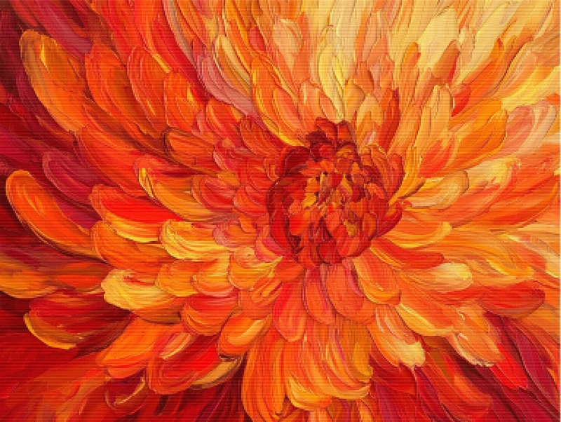 Chrysanthemum Burst